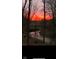 Picturesque sunset view overlooking a winding creek and silhouetted trees at 5240 W 400 N, Fairland, IN 46126