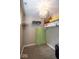Small closet with storage and a modern light fixture at 6532 Amherst Way, Zionsville, IN 46077