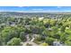 Neighborhood aerial view showcasing mature trees and lush green surroundings at 8140 Bold Forbes Ct, Indianapolis, IN 46217