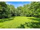 A large, green, grassy yard with trees at 10159 Hodge Rd, Clayton, IN 46118