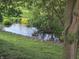 Lush green backyard with ducks swimming peacefully in a stream, framed by trees and vibrant greenery at 21 Watson Dr, Trafalgar, IN 46181