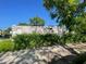 Overgrown backyard with dilapidated building and overgrown shrubs at 2625 E 12Th St, Indianapolis, IN 46201
