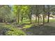 Tranquil backyard with a gentle stream, lush landscaping, and beautiful view of the home at 3399 Nottinghill Blvd, Plainfield, IN 46168