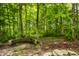 Lush backyard with mature trees, stone retaining wall, and natural landscaping provides a tranquil outdoor retreat at 4309 Clayburn Dr, Indianapolis, IN 46268