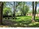 Wooded backyard featuring mature trees, offering a tranquil and private outdoor space at 8019 E Hanna Ave, Indianapolis, IN 46239