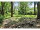 Lush backyard featuring mature trees and greenery, creating a private and serene outdoor space at 8019 E Hanna Ave, Indianapolis, IN 46239