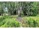Lush backyard with mature trees creating a private and tranquil setting for outdoor enjoyment at 8019 E Hanna Ave, Indianapolis, IN 46239