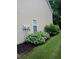 Side yard with vibrant hostas and black mulch creating a well manicured look at 8333 Pine Branch Ln, Indianapolis, IN 46234
