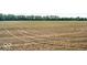 Large, tilled farmland showing rows of sprouts ready to grow at 10705 N State Road 267, Brownsburg, IN 46112