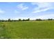 Expansive field with lush green grass extending to the horizon under a bright blue sky at 16512 Grand Cypress Dr, Noblesville, IN 46060