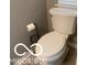 A clean, classic white toilet is paired with gray walls and chrome accessories at 459 Dekalb Dr, Westfield, IN 46074