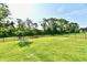 Expansive backyard featuring lush green grass, mature trees, and a well-maintained fence at 17390 Tribute Row, Noblesville, IN 46060