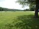 Expansive front yard featuring lush green grass and mature trees, creating a serene and inviting landscape at 3310 W State Road 58, Seymour, IN 47274