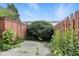 An overgrown backyard at 3343 Ashley Ln, Indianapolis, IN 46224