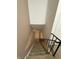 Carpeted stairs leading downward to a lower level or basement at 4404 London Ct, Indianapolis, IN 46254