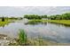 Beautiful neighborhood pond with fountain, lush landscaping, and neighborhood homes at 6644 Aberdeen Dr, McCordsville, IN 46055