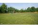 Large backyard with play set and expansive lawn, perfect for outdoor activities at 13074 Lansdowne Dr, Fishers, IN 46038