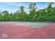Tennis courts in the community with trees surrounding the area at 14052 Rayners Ln, Fishers, IN 46037