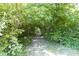 Scenic tree-lined path surrounded by lush greenery, creating a serene and natural walkway at 16000 W 700 S, Anderson, IN 46017