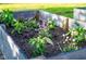 Close-up of raised garden bed with young plants and flowers at 6012 N 200 W, Greenfield, IN 46140
