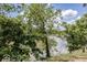 Beautiful waterfront view through mature trees with blue sky and wispy clouds at 8315 Union Chapel Rd, Indianapolis, IN 46240
