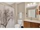 Bathroom featuring a shower with a decorative tree curtain and a vanity with a sink and wood cabinets at 1631 Caspian Dr, Carmel, IN 46032