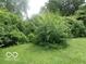 Spacious backyard featuring mature trees and lush lawn at 3253 W 34Th St, Indianapolis, IN 46222