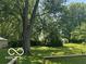 Large backyard featuring mature trees and lush green grass at 335 Park St, Noblesville, IN 46060