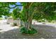 A backyard landscape featuring a large tree surrounded by plants and decorative rocks at 45 Kirk E Dr, Indianapolis, IN 46234