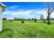 Expansive green yard featuring a vibrant lawn, mature trees, and picturesque walking path under a blue sky at 7195 Rose Hill Ave, Brownsburg, IN 46112