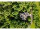 Overhead shot of property reveals lush greenery, providing privacy and highlighting the home's secluded location at 9190 Hastings Trce, Indianapolis, IN 46234