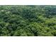 Expansive aerial view of a property surrounded by a dense forest of green trees, highlighting its secluded location at 9722 N Gasburg Rd, Mooresville, IN 46158