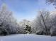 Backyard view of a snow-covered landscape, showcasing the property's winter beauty and serene atmosphere at 9722 N Gasburg Rd, Mooresville, IN 46158