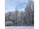 Winter scene showcasing snow-covered trees in the backyard, highlighting the property's natural beauty during winter at 9722 N Gasburg Rd, Mooresville, IN 46158