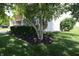 Well-maintained front yard with lush greenery, mulch, and a mature tree providing shade at 10949 Haig Point Dr, Fishers, IN 46037