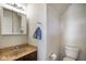 Small bathroom featuring a single sink with decorative countertop and a toilet at 3075 W Crosscreek Dr, Monrovia, IN 46157