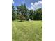 Backyard with storage shed, perfect for outdoor equipment or hobbies at 31 S Sugar Creek Dr, New Palestine, IN 46163