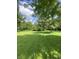 Expansive backyard with lush green grass and mature trees, offering a serene outdoor space at 31 S Sugar Creek Dr, New Palestine, IN 46163