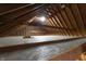 Exposed beams of an unfinished attic at 980 W Poplar St, Zionsville, IN 46077
