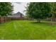 Large backyard with green grass, privacy fence, and mature tree, perfect for outdoor activities at 6118 Yellow Birch Ct, Avon, IN 46123