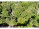 Aerial view of the home showing great privacy from mature trees and the roofline from above at 6280 N Chester Ave, Indianapolis, IN 46220
