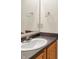 Bathroom featuring a white sink, wood cabinets, gray countertops, and a large mirror at 8212 Twin River Dr, Indianapolis, IN 46239