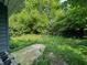 Lush backyard featuring dense greenery and a concrete patio at 1016 W 31St St, Indianapolis, IN 46208