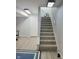 Carpeted staircase leading to the finished basement at 430 N Greenbriar Dr, Greenwood, IN 46142