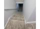Staircase featuring neutral carpeting and bright white walls lead to the lower level at 430 N Greenbriar Dr, Greenwood, IN 46142