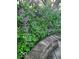 Landscaping detail showing a blooming lilac bush beside a stone retaining wall at 4976 Rockne Cir, Carmel, IN 46033