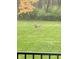 Backyard view showcasing well-maintained lawn and a deer, viewed from the deck at 5993 E County Road 100 S, Avon, IN 46123