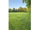 Expansive backyard featuring lush green lawn and mature trees providing ample shade at 5993 E County Road 100 S, Avon, IN 46123