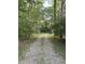 Private gravel driveway leading through a serene wooded area at 5993 E County Road 100 S, Avon, IN 46123