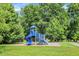 Community playground with a blue slide and climbing structure in a green, grassy area at 6298 Briargate Dr, Zionsville, IN 46077